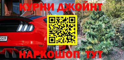 спайс Берёзовский