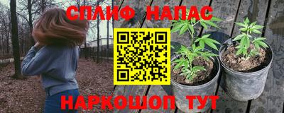 спайс Берёзовский