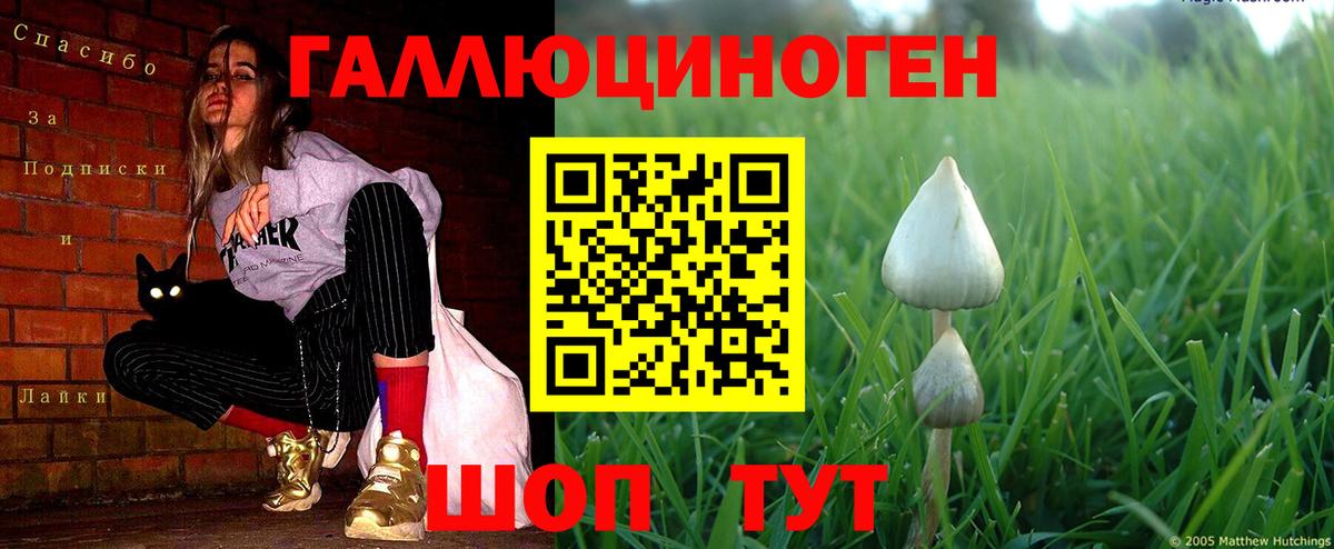 Галлюциногенные грибы MAGIC MUSHROOMS  Псилоцибиновые грибы Psilocybe  как найти наркотики  Шуя 
