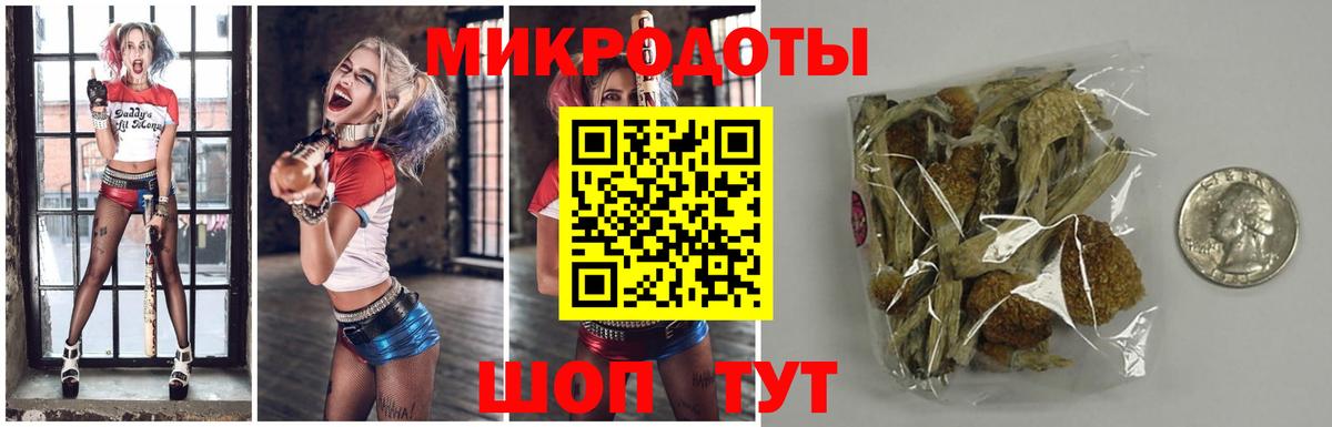 Псилоцибиновые грибы мухоморы Шуя
